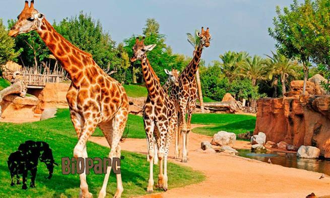 Апартаменты Bioparc Metro Валенсия Экстерьер фото