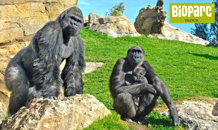 Апартаменты Bioparc Metro Валенсия Экстерьер фото